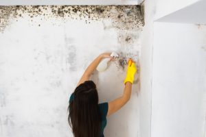 6 Signs You Have Mold in Your Dubai Home