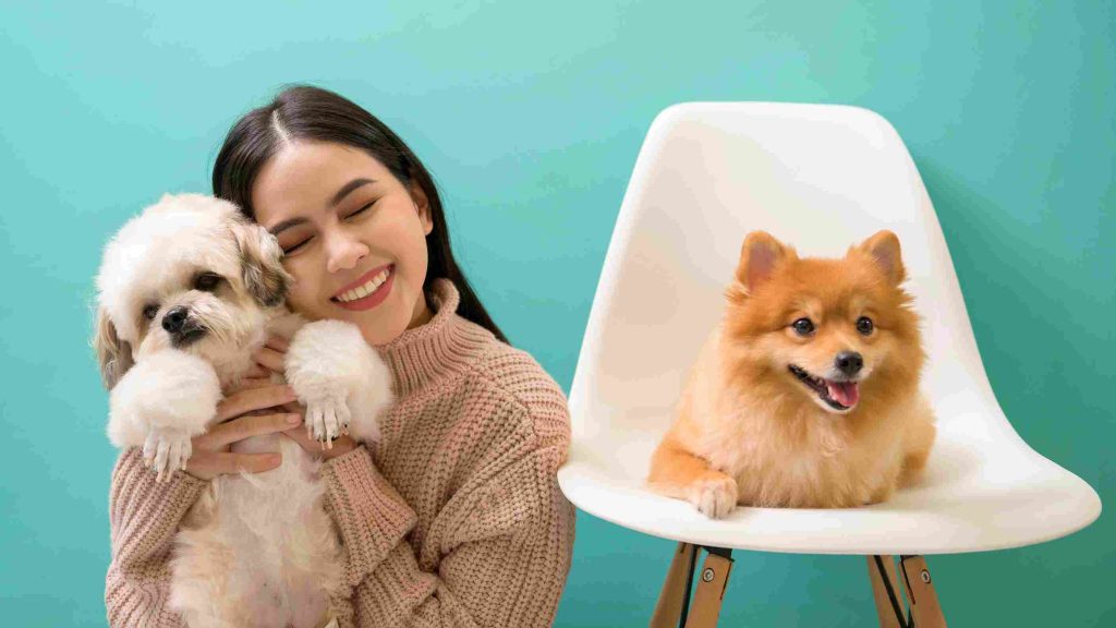 Preparing Pets for a High-Stimulus, Multicultural City